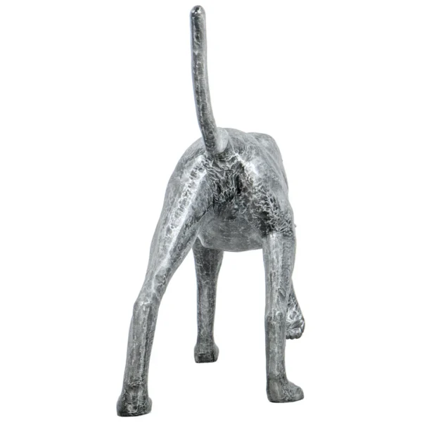 walking dog