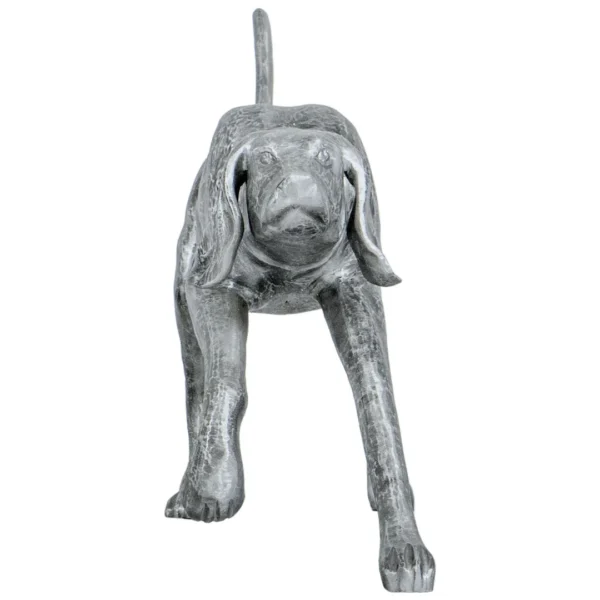 walking dog
