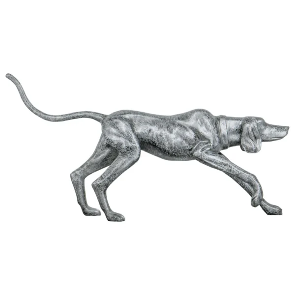 walking dog