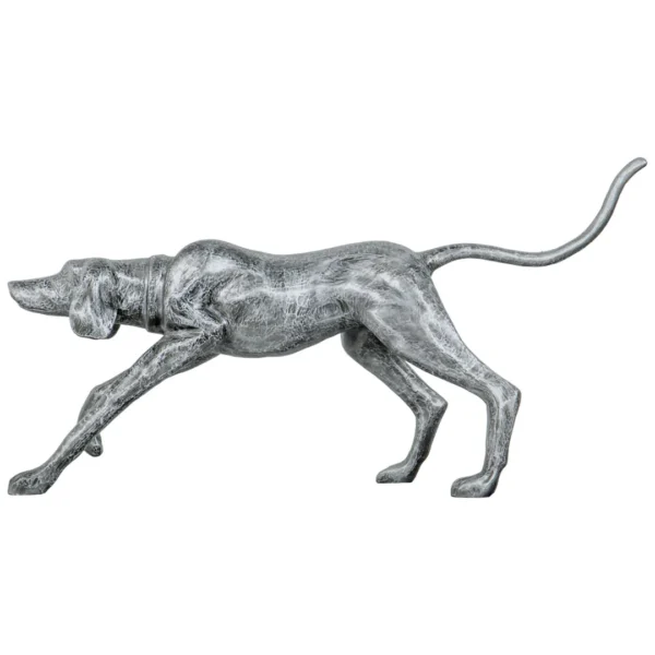 walking dog