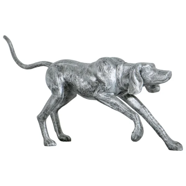 walking dog
